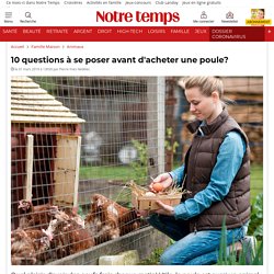 10 questions à se poser avant d'acheter une poule?