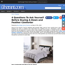 4 Questions To Ask Yourself Before Buying A Down and Feather Comforter