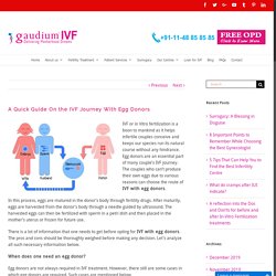 A Quick Guide On the IVF Journey With Egg Donors