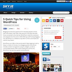 5 Quick Tips for Using WordPress