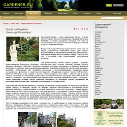 Ландшафтный дизайн садов и парков
