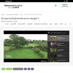 En quoi la biodiversité est en danger ?