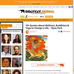 101 Quotes About Wellness, Buddhism & Yoga That Will Change Your Life. ~ Ryan Park