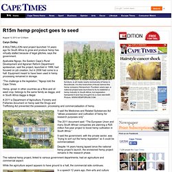 R15m hemp project goes to seed - Cape Times