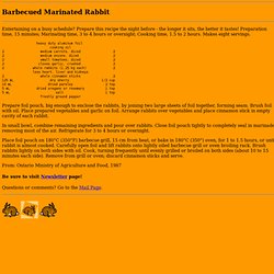 Rabbit Recipe: Barbecued Marinated Rabbit