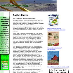 Rabbit Farms for Hobby, Success and Profit
