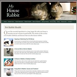 Rabbit Health - Bunny Diseases - Fleas