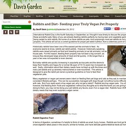 Rabbits and Diet- Feeding your Truly Vegan Pet Properly