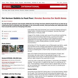 Fat German Rabbits to Feed Poor: Monster Bunnies For North Korea - SPIEGEL ONLINE - News - International