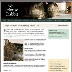 Hay for Rabbits - What to Feed Pet Bunnies - Proper Diet
