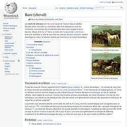 Race (cheval)