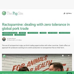 PIGSITE 22/03/21 Ractopamine: dealing with zero tolerance in global pork trade