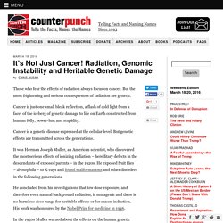 It’s Not Just Cancer! Radiation, Genomic Instability and Heritable Genetic Damage