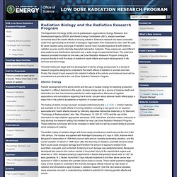Low Dose Radiation Program: Radiation Biology and the Radiation Research Program