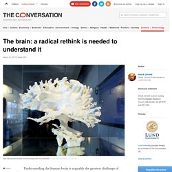 The wrong neural path? How our understanding of the brain could be wrong