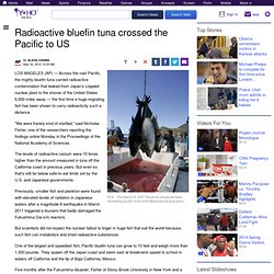 Radioactive bluefin tuna crossed the Pacific to US