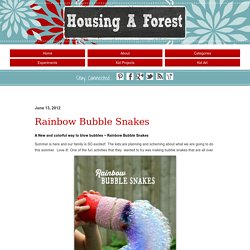 Rainbow Bubble SnakesHousing a Forest