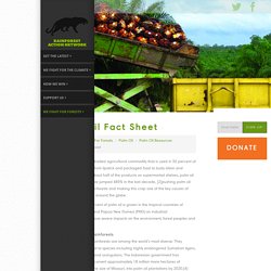 Palm Oil Fact Sheet