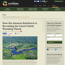 How the Amazon Rainforest is Becoming the Latest Global Warming Threat