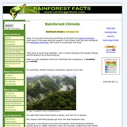 Rainforest Climate