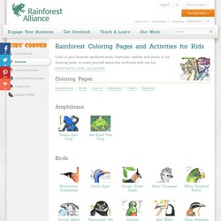 Rainforest Coloring Pages and Activities for Kids