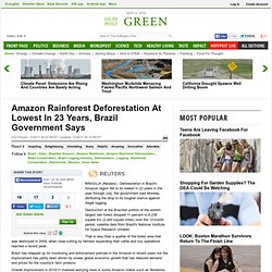 Amazon Rainforest Deforestation At Lowest In 23 Years, Brazil Government Says