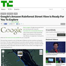 Google’s Amazon Rainforest Street View Ready For You To Explore