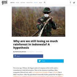 Why are we still losing so much rainforest in Indonesia? A hypothesis