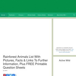 Rainforest Animals List With Pictures, Facts & Links to Further Information
