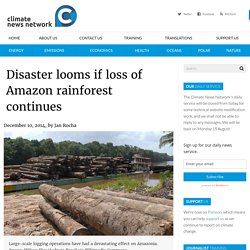 Disaster looms if loss of Amazon rainforest continues - Climate News NetworkClimate News Network