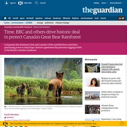 Time, BBC and others drive historic deal to protect Canada's Great Bear Rainforest