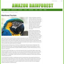 Rainforest Tourism - Save the Amazon Rainforest