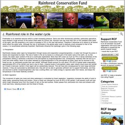 J. Rainforest role in the water cycle « Rainforest Conservation Fund