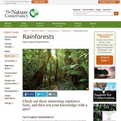 Rainforests Facts