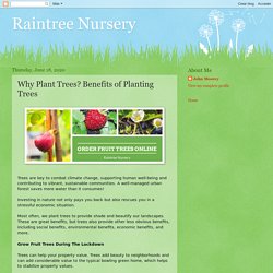 Buy Fruit Trees Online At Raintree Nursery