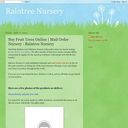 Online Tree Nursery - Raintree Nursery