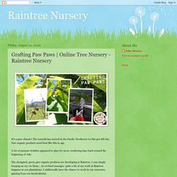 Online Tree Nursery - Raintree Nursery