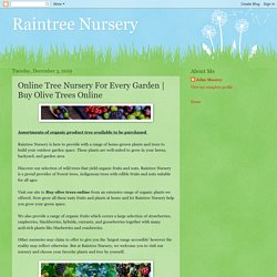 Raintree Nursery: Online Tree Nursery For Every Garden