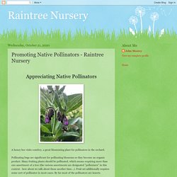 Promoting Native Pollinators