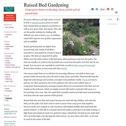 Raised Bed Gardening How To Guide