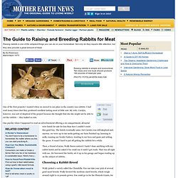 The Guide to Raising and Breeding Rabbits for Meat - Sustainable Farming