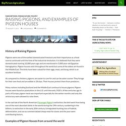 Raising Pigeons, and Examples of Pigeon Houses