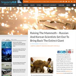 Raising The Mammoth – Russian And Korean Scientists Set Out To Bring Back The Extinct Giant