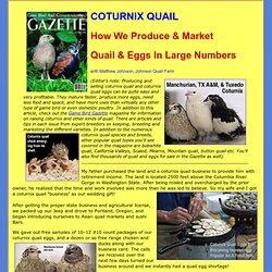 People who get retired or are very much in backyard chicken farming