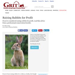 Raising Rabbits for Profit - Animals