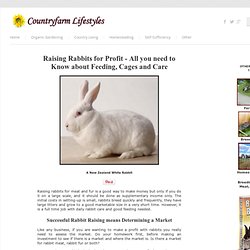 Raising Rabbits For Profit, & Feeding, Cages & Care