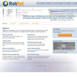 RakNet - Multiplayer game network engine