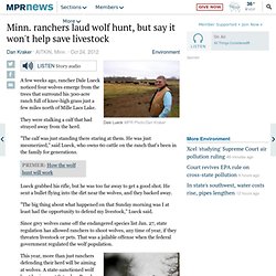 Wolf hunt won't help livestock