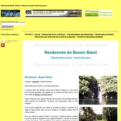 Randonnée Bassin Boeuf La Réunion