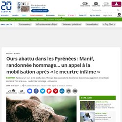 Ours abattu dans les Pyrénées : Manif, randonnée hommage… un appel à la mobilisation après « le meurtre infâme » 16 mai 2020